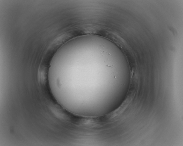 X0000113890074200910081817