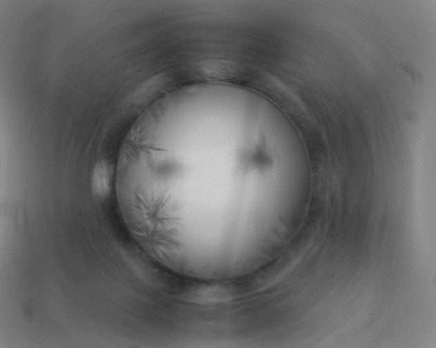 X0000113890075200910081817