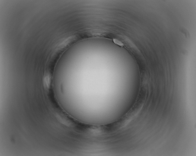 X0000113890076200910081817