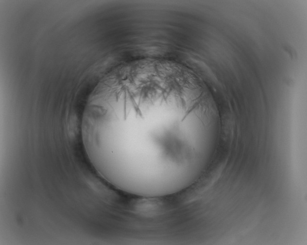 X0000113890077200910081817