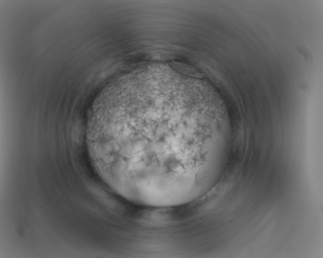 X0000113890078200910081817