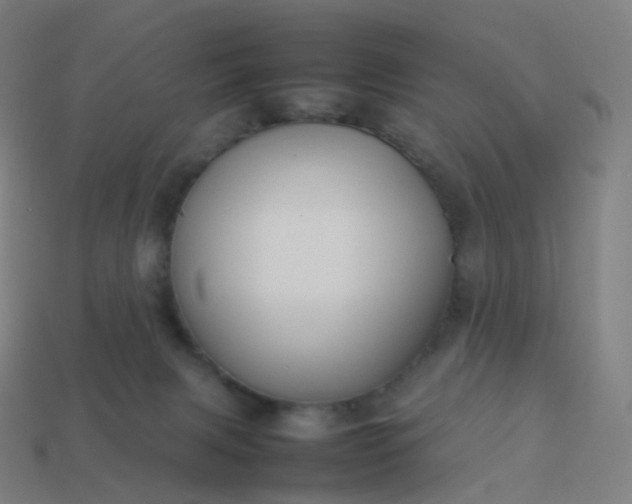 X0000113890079200910081817