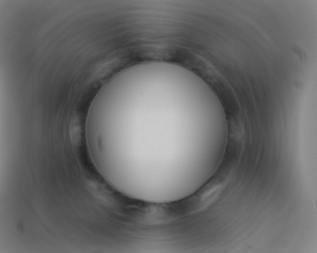 X0000113890080200910081817