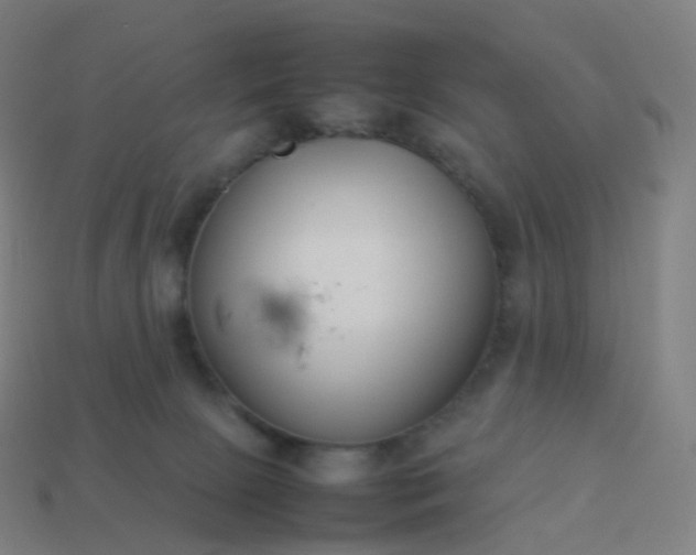 X0000113890081200910081817