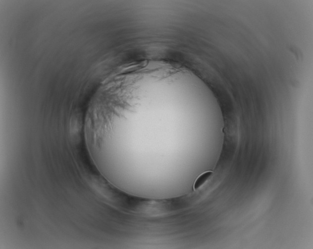 X0000113890082200910081817