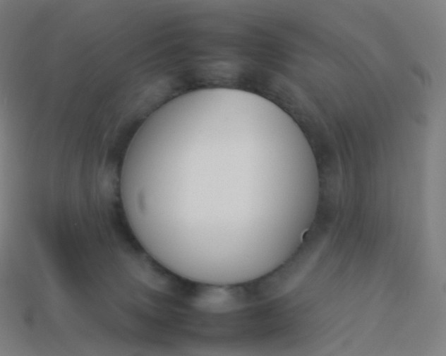 X0000113890083200910081817