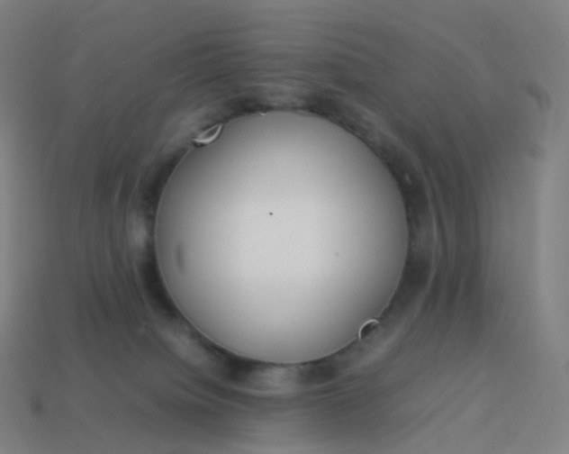 X0000113890084200910081817