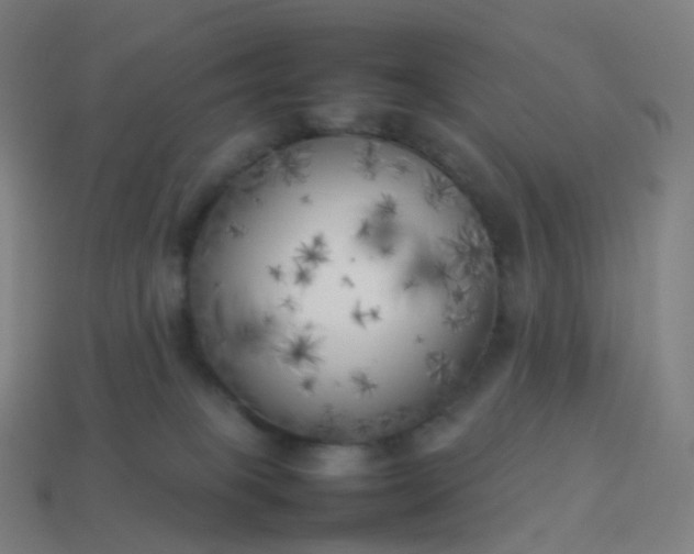 X0000113890085200910081817