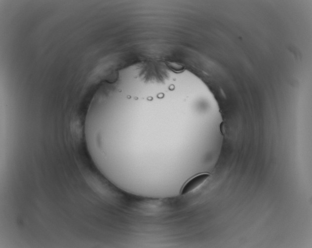 X0000113890086200910081817