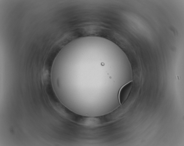 X0000113890087200910081817