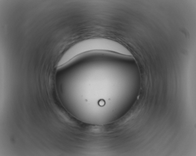 X0000113890088200910081817