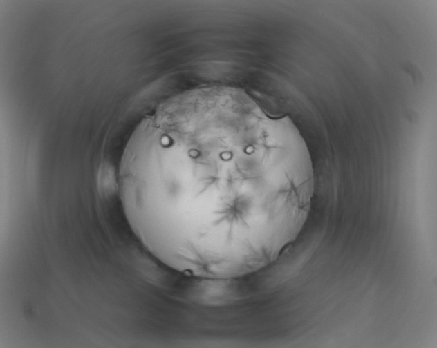 X0000113890089200910081817