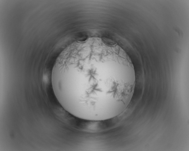 X0000113890090200910081817