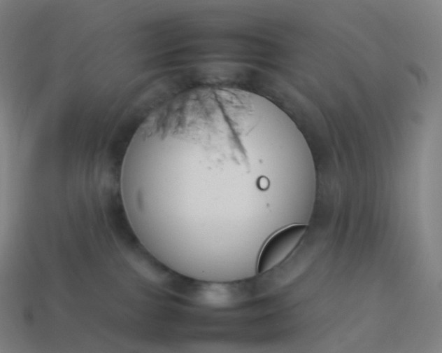 X0000113890091200910081817