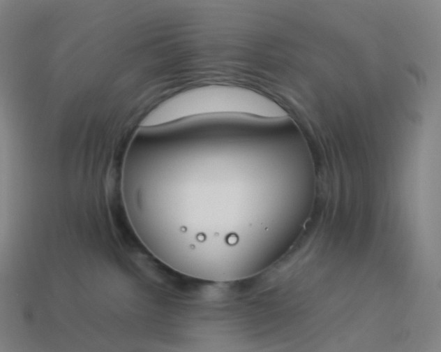 X0000113890092200910081817