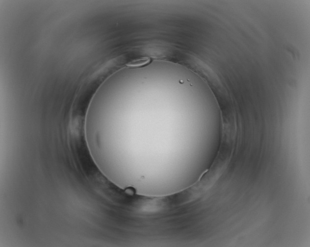 X0000113890093200910081817