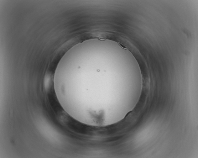 X0000113890095200910081817