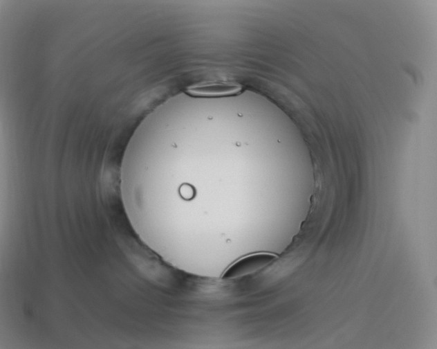 X0000113890096200910081817