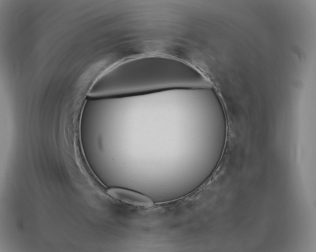 X0000113890097200910081816