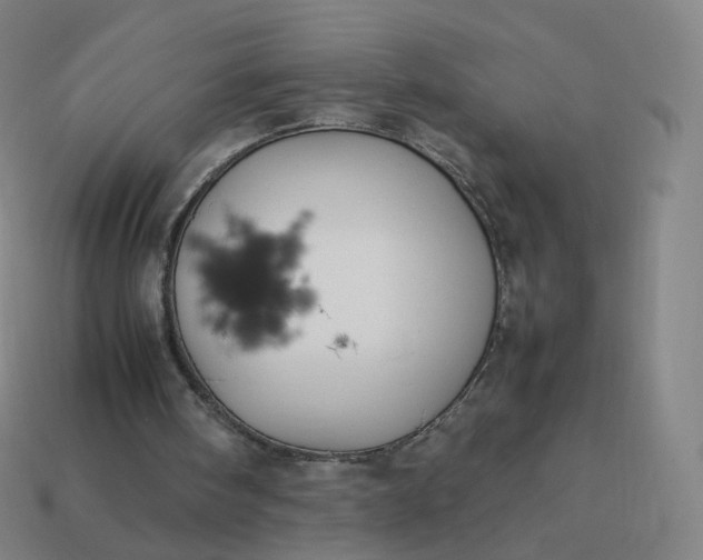 X0000113890098200910081816