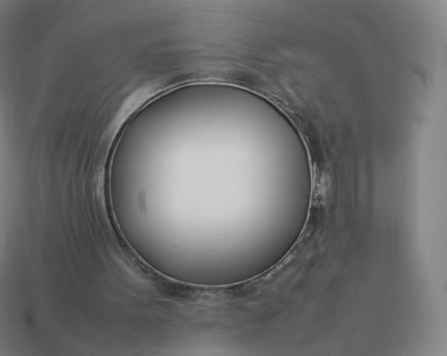 X0000113890099200910081816