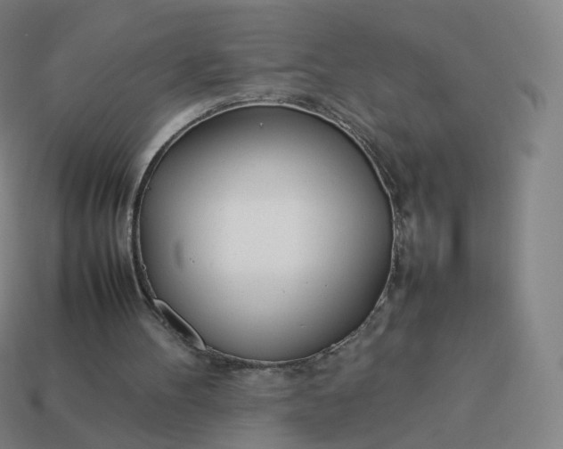 X0000113890100200910081816