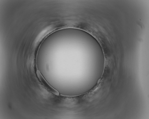 X0000113890101200910081816