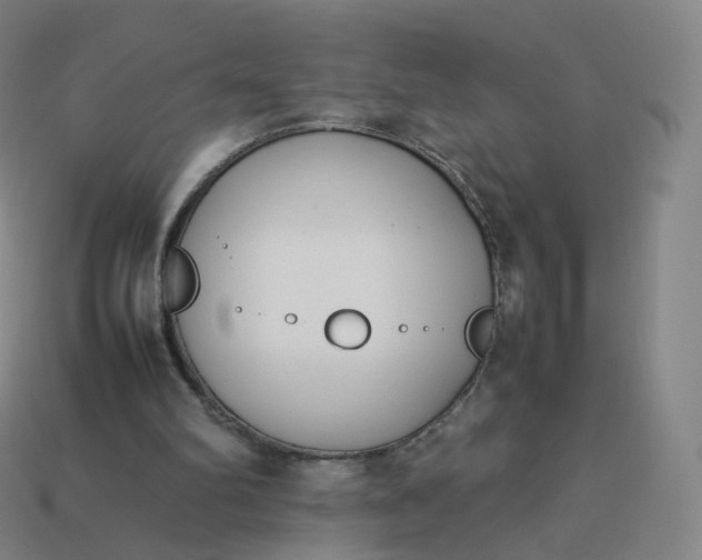 X0000113890102200910081816