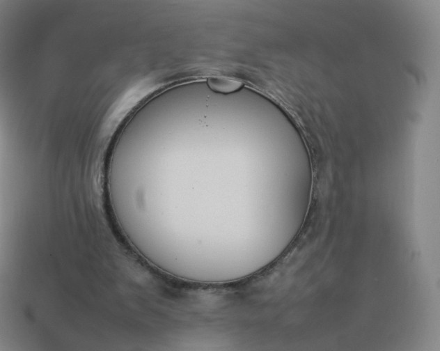 X0000113890103200910081816