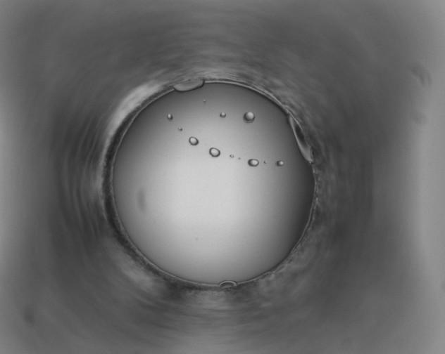 X0000113890104200910081816