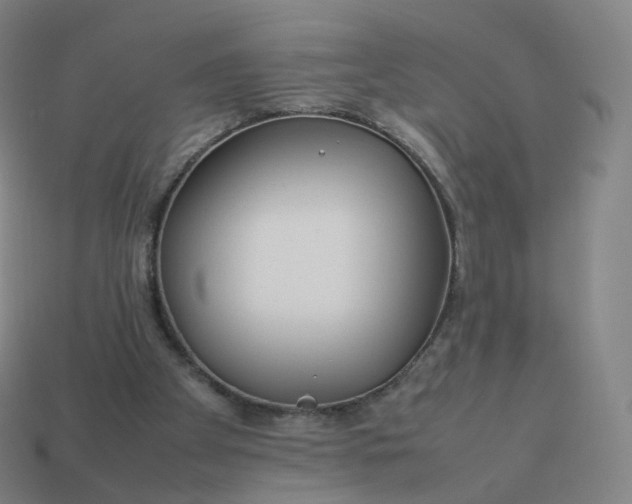 X0000113890105200910081816