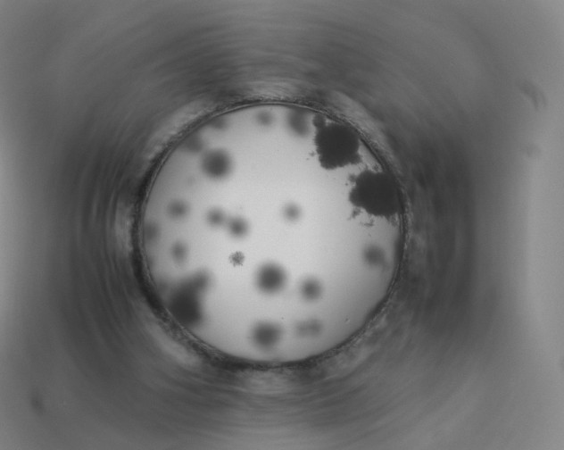 X0000113890106200910081816