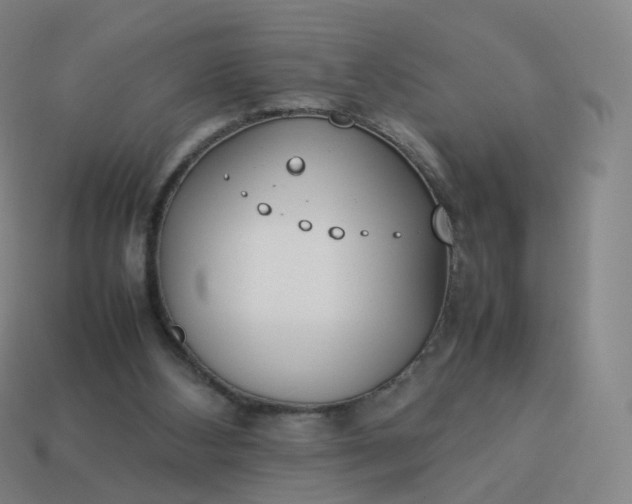 X0000113890108200910081816