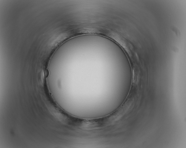 X0000113890109200910081816