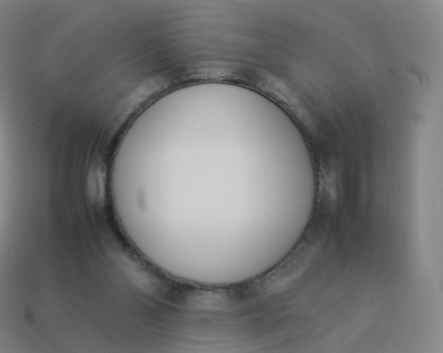 X0000113890110200910081816