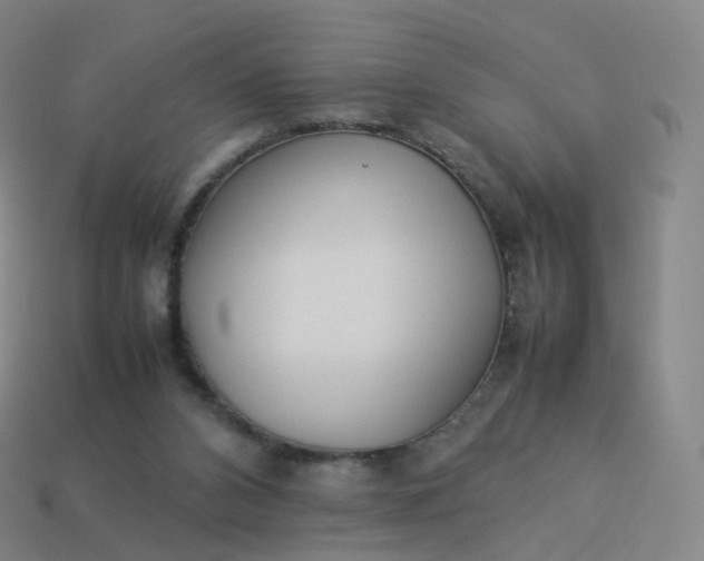 X0000113890112200910081816