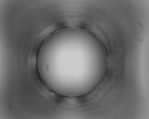 X0000113890113200910081816