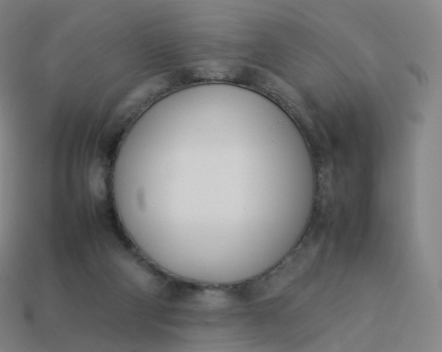 X0000113890114200910081816