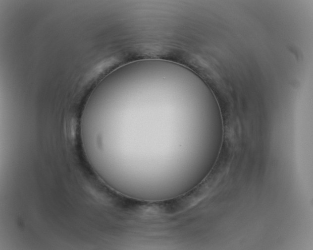 X0000113890115200910081816