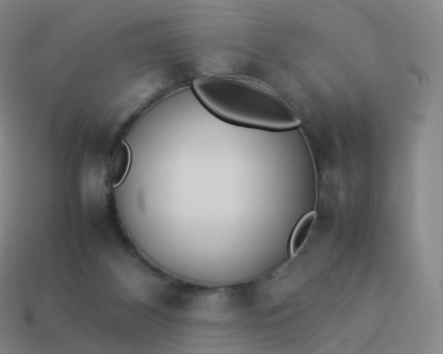 X0000113890116200910081816