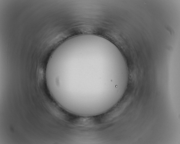 X0000113890117200910081816