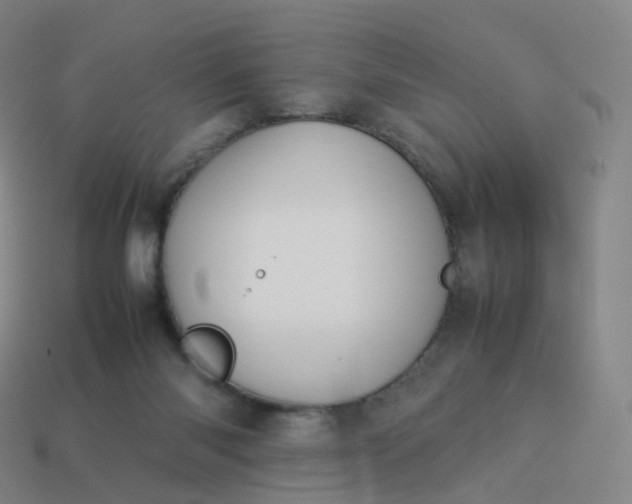 X0000113890118200910081816