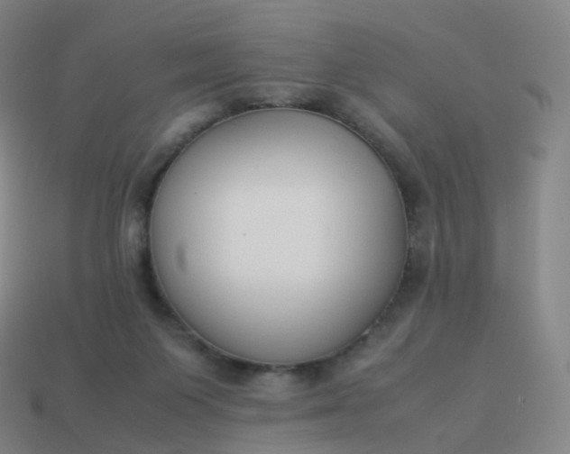 X0000113890119200910081816