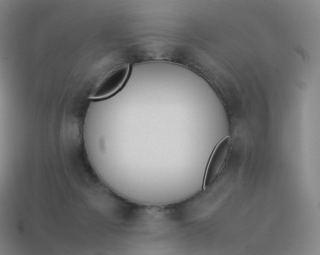 X0000113890121200910081816