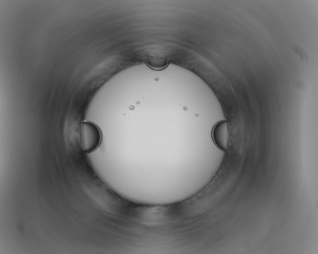 X0000113890122200910081816