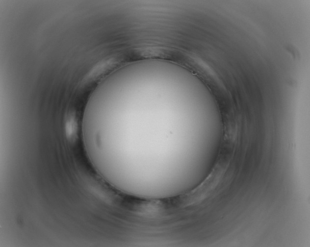 X0000113890124200910081816