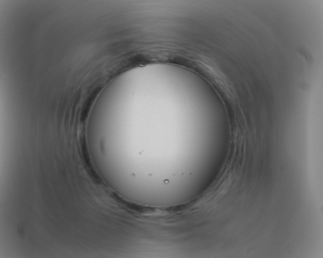 X0000113890125200910081816