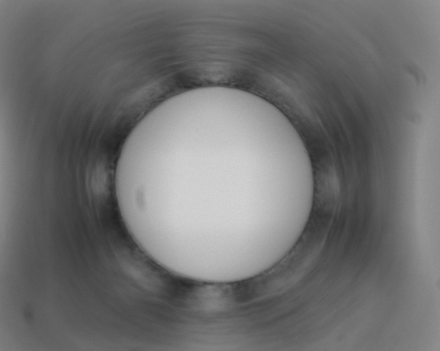 X0000113890126200910081816