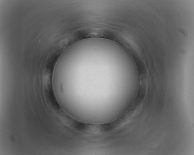 X0000113890127200910081816