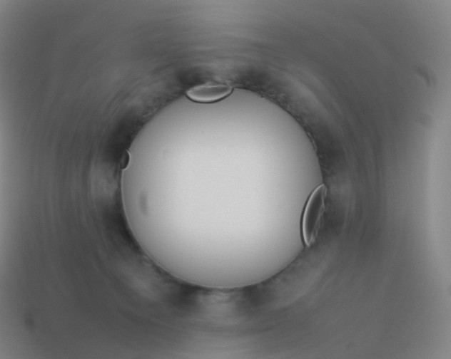 X0000113890129200910081816